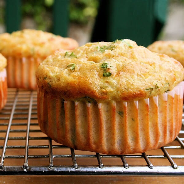 These cottage cheese muffins are fun. Unlike any muffin I've ever tasted. Textured like a cross between a souffle and a quiche. Savory. Can be flavored in any way: with ham, bacon, herbs, peppers, spinach, whatever. A nice, portable breakfast especially for those who eat on the run. // alexandracooks.com These cottage cheese muffins are fun. Unlike any muffin I've ever tasted. Textured like a cross between a souffle and a quiche. Savory. Can be flavored in any way: with ham, bacon, herbs, peppers, spinach, whatever. A nice, portable breakfast especially for those who eat on the run. // alexandracooks.com