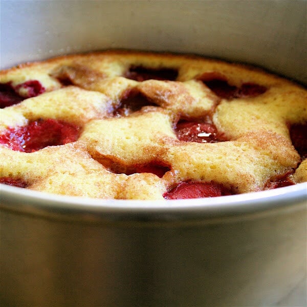 This open-faced plum cake takes only minutes to prepare; it's delectable; it's elegant; and it's versatile: Apricots, nectarines and peaches, it has been noted, can be used in place of the plums. // alexandracooks.com This open-faced plum cake takes only minutes to prepare; it's delectable; it's elegant; and it's versatile: Apricots, nectarines and peaches, it has been noted, can be used in place of the plums. // alexandracooks.com