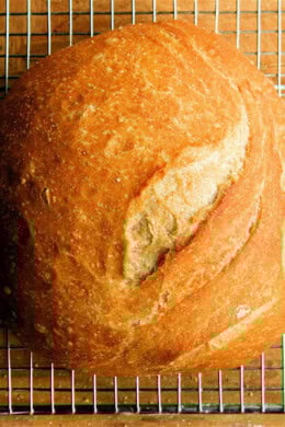 I thought I'd give a brief update on my Artisan Bread in Five Minutes a Day escapades. This batch is my third, and I experimented with using nearly 50-percent whole-wheat flour. The dough rose just as beautiful. // alexandracooks.com