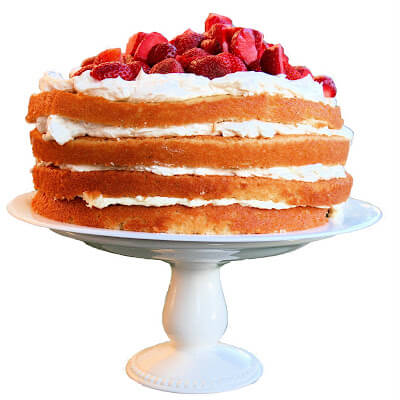 This lemon-buttermilk wedding cake bakes evenly and is both moist and light. The lemon curd adds a nice tang and helps keep the cake moist. And the bright-white, Swiss Buttercream frosting (made in place of a cream cheese frosting) gives the cake a really festive, professional feel. // alexandracooks.com This lemon-buttermilk wedding cake bakes evenly and is both moist and light. The lemon curd adds a nice tang and helps keep the cake moist. And the bright-white, Swiss Buttercream frosting (made in place of a cream cheese frosting) gives the cake a really festive, professional feel. // alexandracooks.com