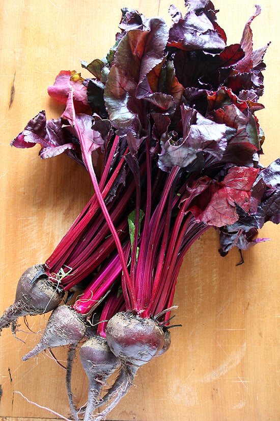 beets beets