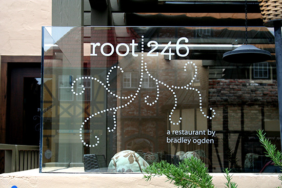 root 246 root 246
