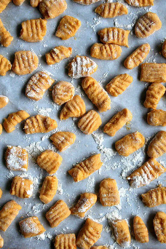 shaped gnocchi shaped gnocchi