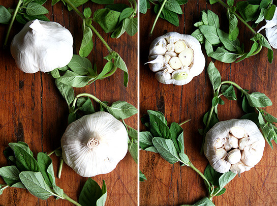 Garlic & Oregano Garlic & Oregano on a board.