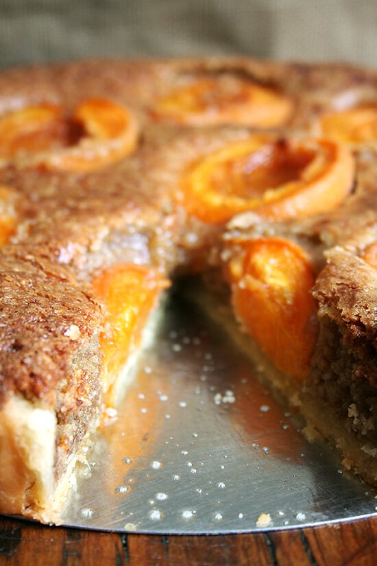 cut tart cut tart