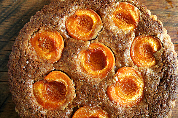 apricot and almond tart apricot and almond tart