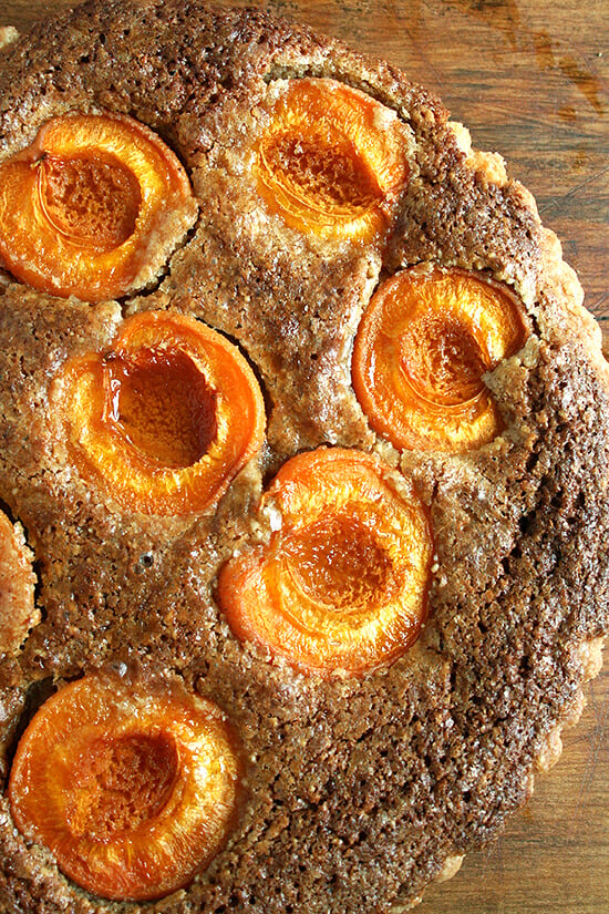 Fresh apricots and a frangipane filling make this apricot and almond tart a lovely summer picnic treat. // alexandracooks.com Fresh apricots and a frangipane filling make this apricot and almond tart a lovely summer picnic treat. // alexandracooks.com
