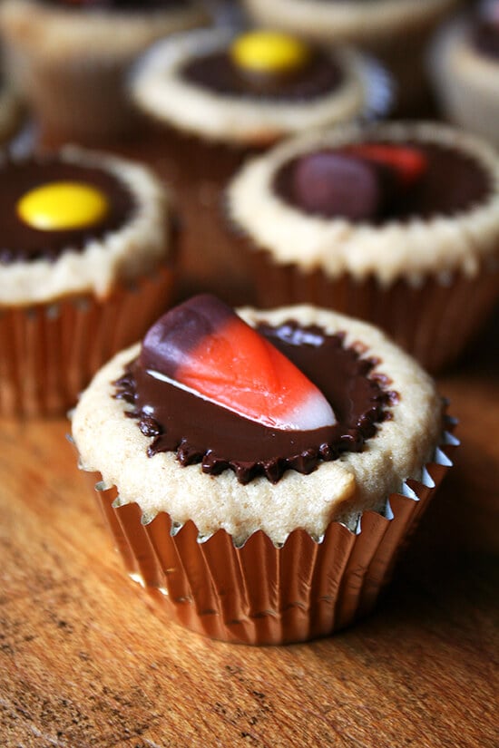 candy corn topped mini cupcake candy corn topped mini cupcake