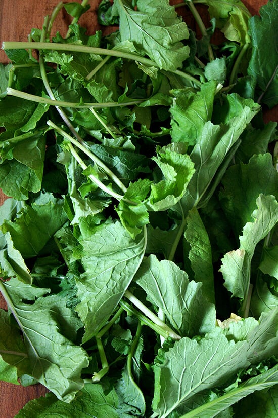 mustard greens from Olin-Fox Farms CSA mustard greens from Olin-Fox Farms CSA