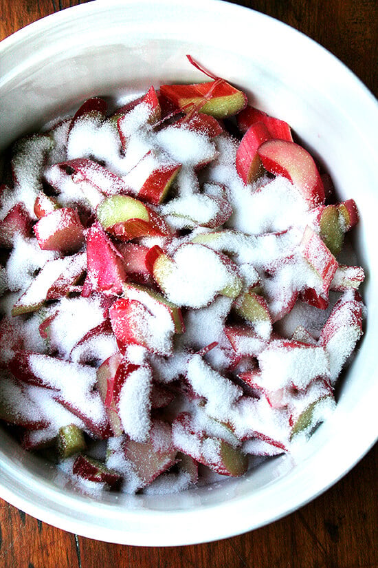 rhubarb & sugar rhubarb & sugar