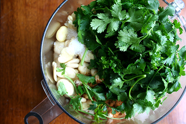 falafel ingredients in cuisinart falafel ingredients in cuisinart