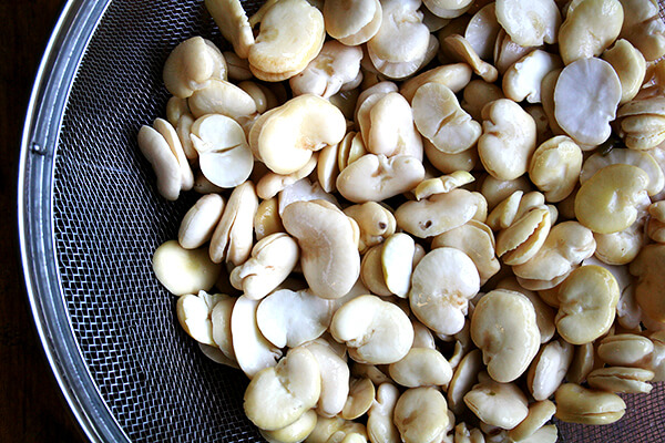 fava beans fava beans