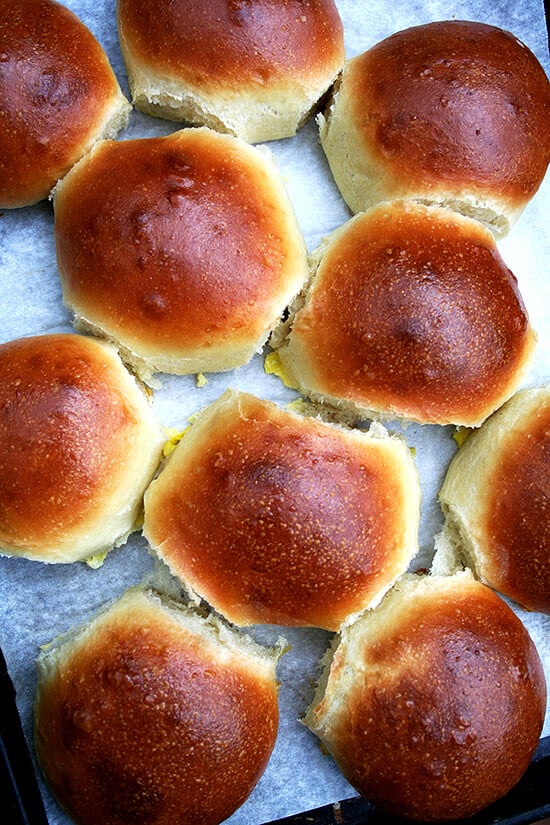 Before making the recipe for these hamburger buns, I had tried countless recipes for brioche, none of which produced the texture I had hoped for, all of which made me cringe at every step of the process — the amount of eggs and butter I wasted on unimpressive loaves is sinful. This recipe is it. Search no further. Yum. // alexandracooks.com Before making the recipe for these hamburger buns, I had tried countless recipes for brioche, none of which produced the texture I had hoped for, all of which made me cringe at every step of the process — the amount of eggs and butter I wasted on unimpressive loaves is sinful. This recipe is it. Search no further. Yum. // alexandracooks.com