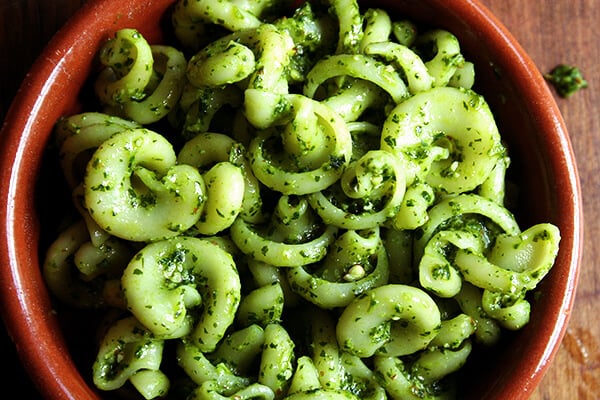 pesto pasta A bowl of pasta tossed with pesto sauce.