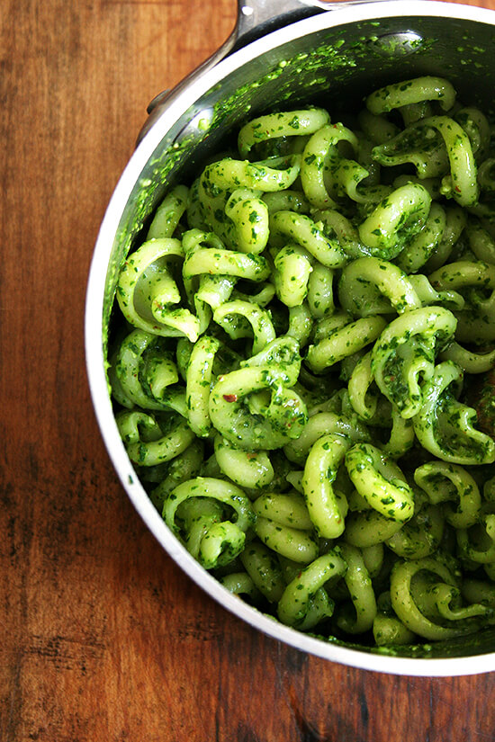 This pesto pasta can be made with anything. All you really need is a bunch of herbs, a handful of nuts and some sort of hard salty cheese. While nothing perhaps marries quite as well as basil, pine nuts and parmesan, variations made with with other cilantro and parsley, walnuts and almonds, and Pecorino and Grana do the job quite nicely. // alexandracooks.com A pot filled with pasta and pesto sauce.