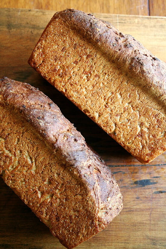 baked loaves baked loaves