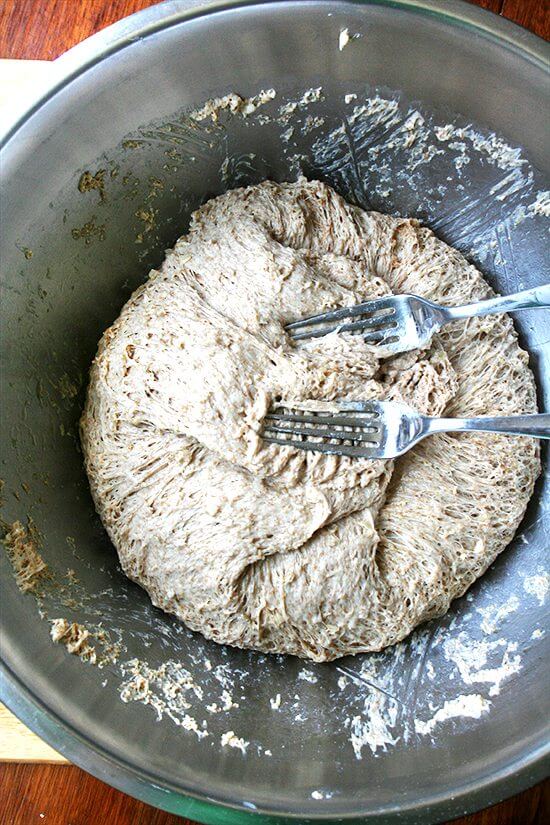 dough, punched down