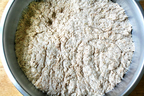 dough, risen dough, risen