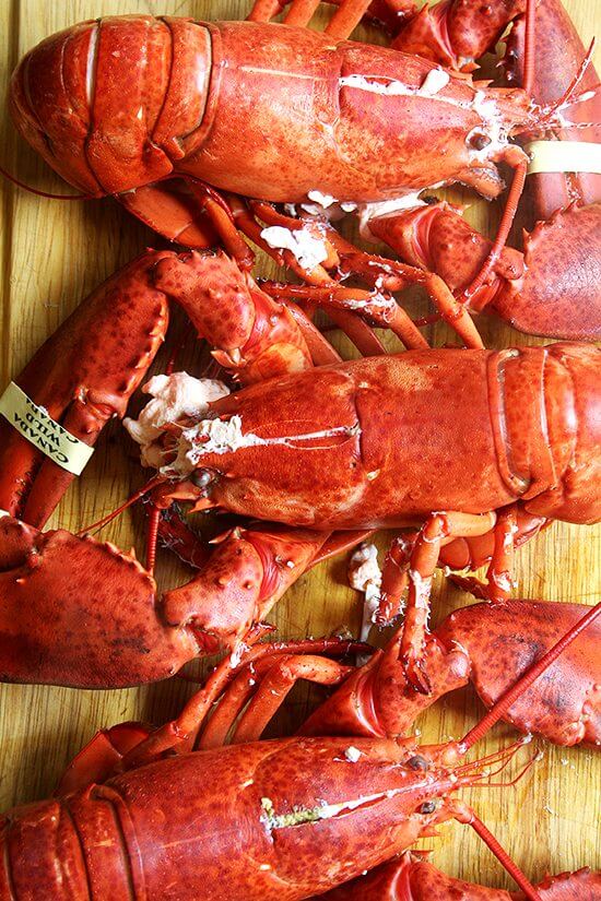 lobsters