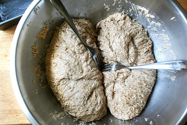 splitting the dough into loaves splitting the dough into loaves
