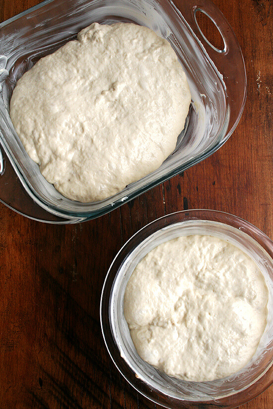 peasant bread dough