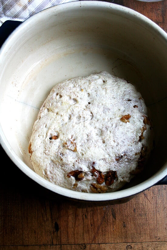 plopped into the hot dutch oven