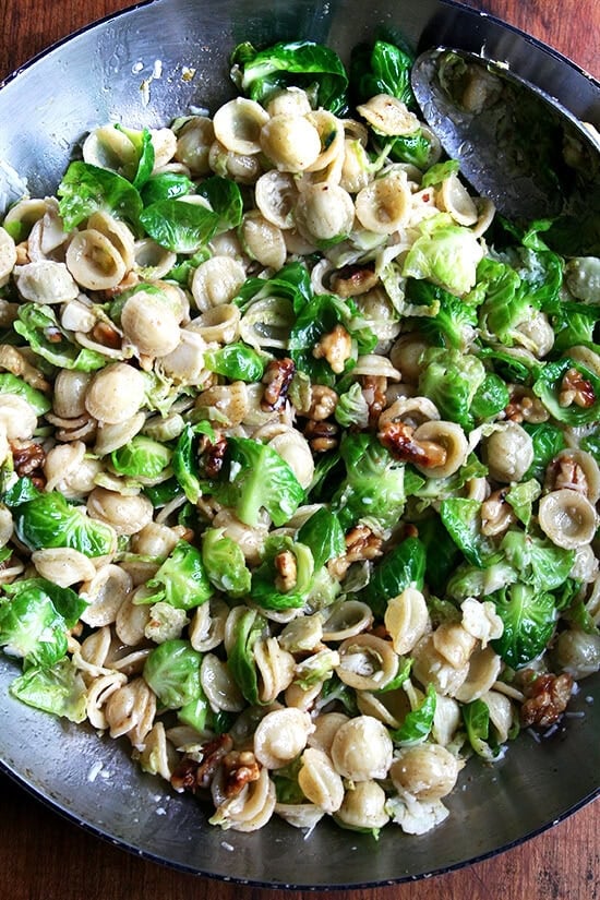 In this super-fast pasta dish, a simple brown butter sauce dresses orecchiette, Brussels sprouts, toasted walnuts and Pecorino. While any pasta shape will work, orecchiette, which shares the same shape as the Brussels sprout leaves, is particularly fun. // alexandracooks.com In this super-fast pasta dish, a simple brown butter sauce dresses orecchiette, Brussels sprouts, toasted walnuts and Pecorino. While any pasta shape will work, orecchiette, which shares the same shape as the Brussels sprout leaves, is particularly fun. // alexandracooks.com