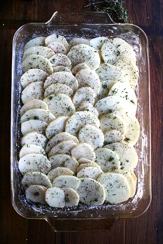 Potato gratin ready for the oven. 