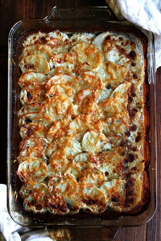Just-baked potato gratin.