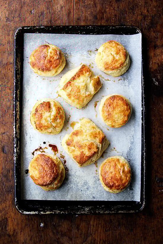 I always forget how easy butter milk biscuits are — one bowl wonders, ready in a snap! With soup and stew season upon us, this biscuit recipe, with maple and sea salt, is a good one to have on hand. // alexandracooks.com