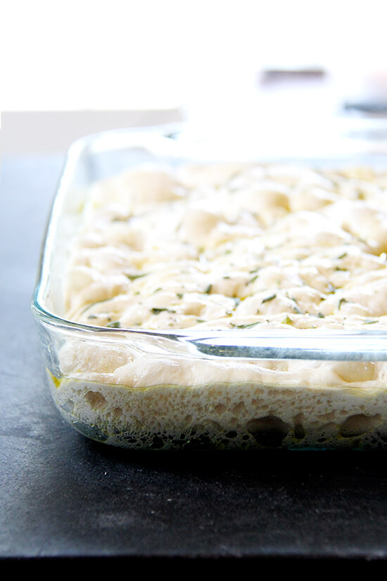 ready for the oven