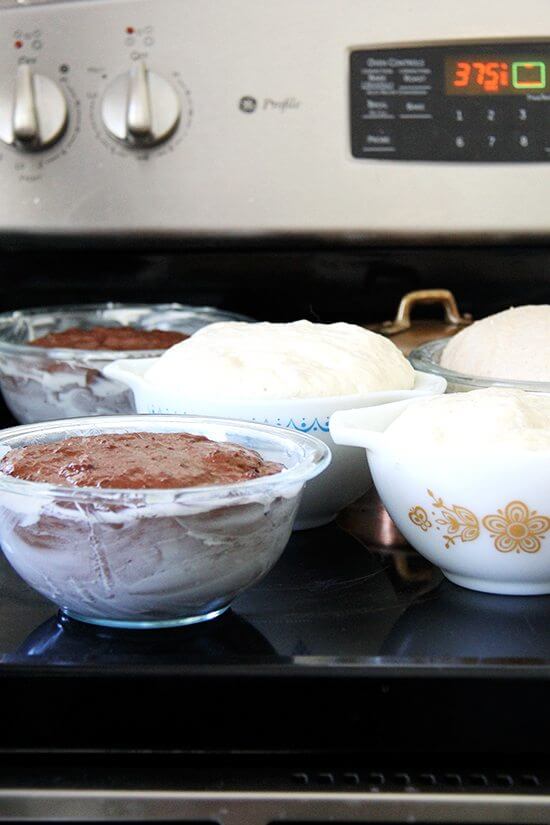 bread rising stovetop