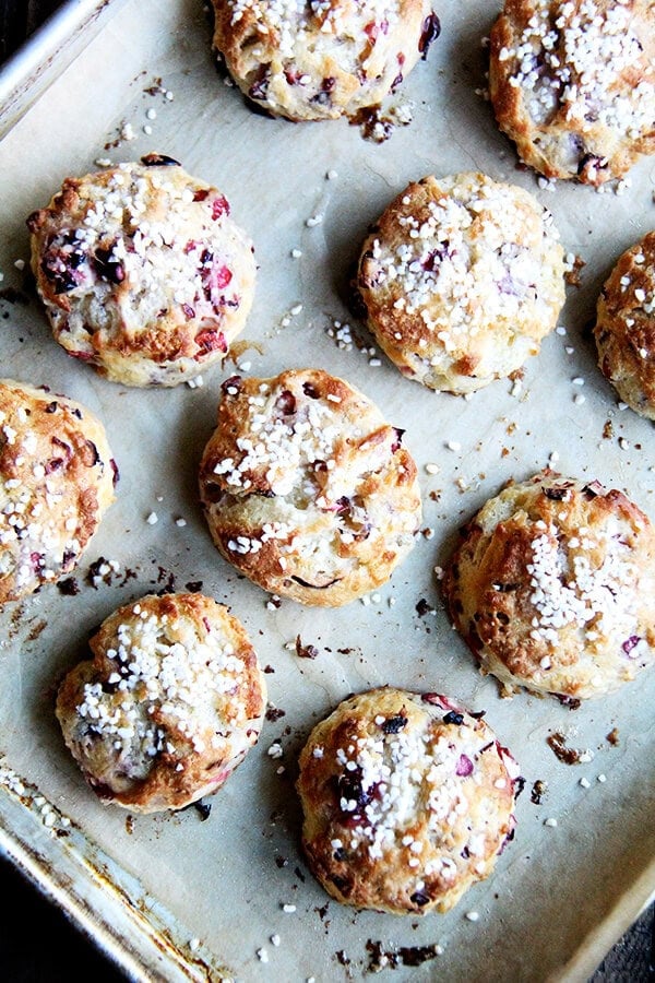 An overhead shot of a tray of freshly baked cranberry snow scones.