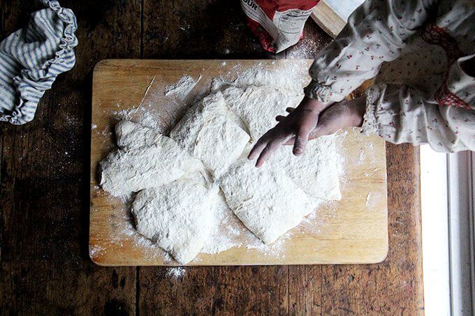 Pizza dough divided into 6 portions.