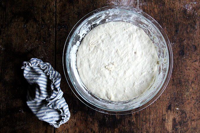 Overhead shot of risen pizza dough.