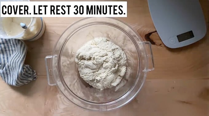 A straight sided vessel holding sourdough bread dough. 