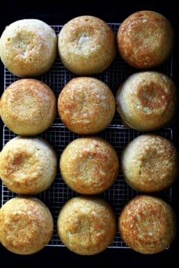 My cookbook, Bread Toast Crumbs, was published last April. In June, illustrator Steph Becker designed toast bookplates and toaster notecards. If you're still in need of a gift this holiday season, it's not too late to order a copy of Bread Toast Crumbs and include with it a toaster notecard with an inscribed toast bookplate! // alexandracooks.com