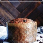 chocolate-studded panettone