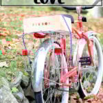 A piebox bungeed to a bike.