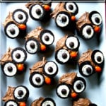 An overhead shot of a tray of owl cupcakes.