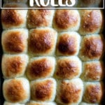 Overhead shot of just-baked buttermilk pull-apart rolls.
