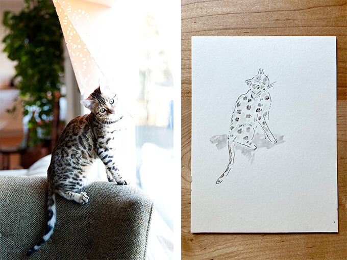 A pet portrait by Steph Becker.