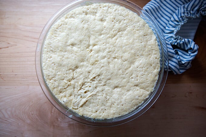 Brioche dough risen.