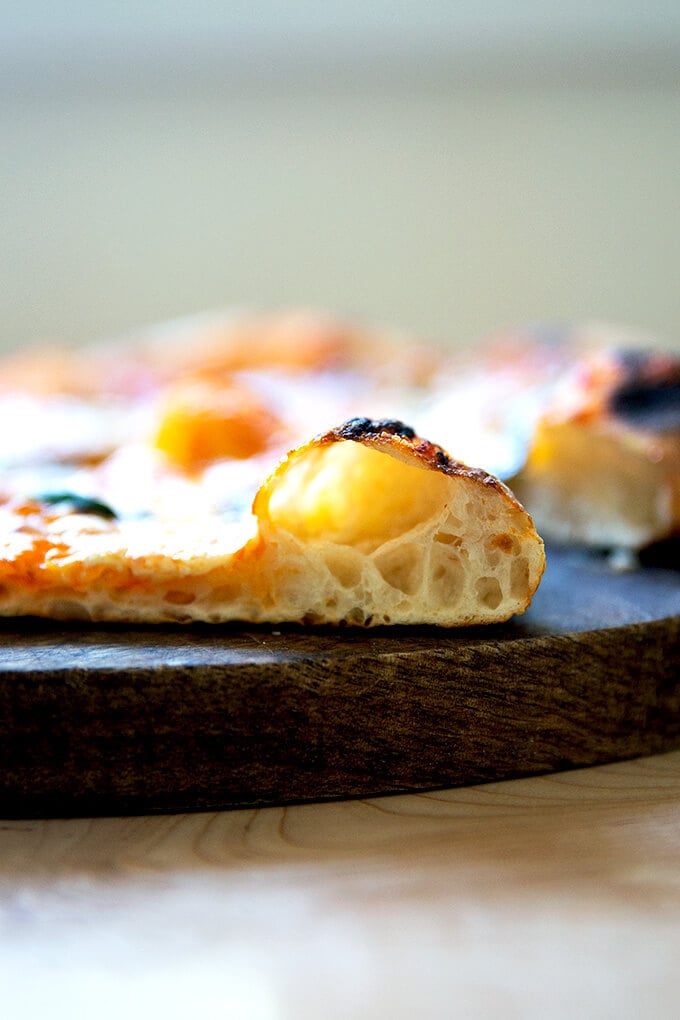 A crumb shot of sourdough pizza crust, just baked.