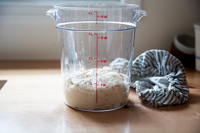 Sourdough pizza dough just mixed.