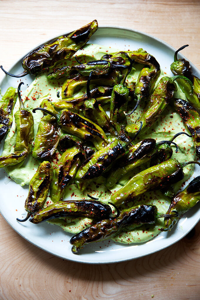 A platter of broiled shishito peppers with avocado cream.