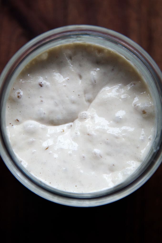An overhead shot of a sourdough starter.
