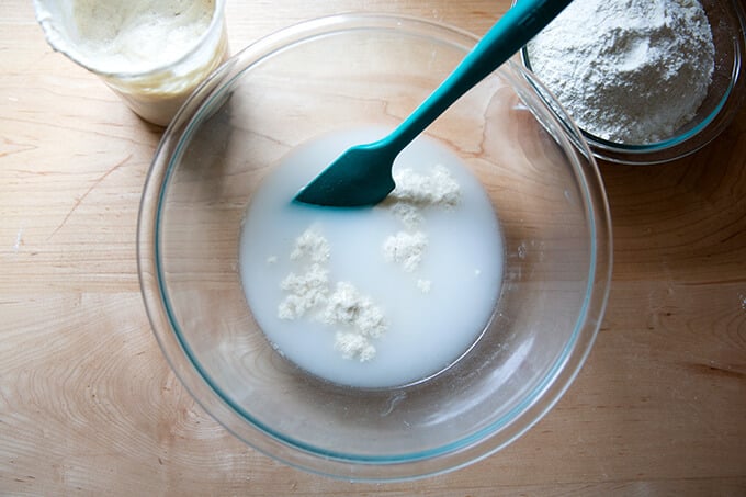A bowl holding water and sourdough starter.