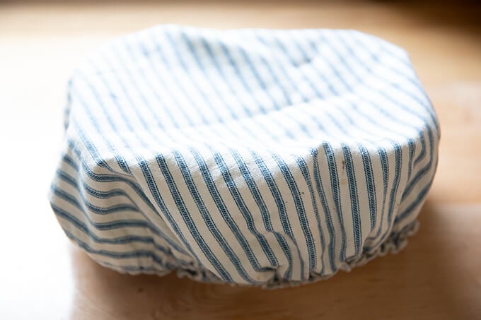 Covered Tupperware holding sourdough ciabatta dough.