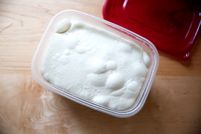 Sourdough ciabatta dough after a night in the fridge.